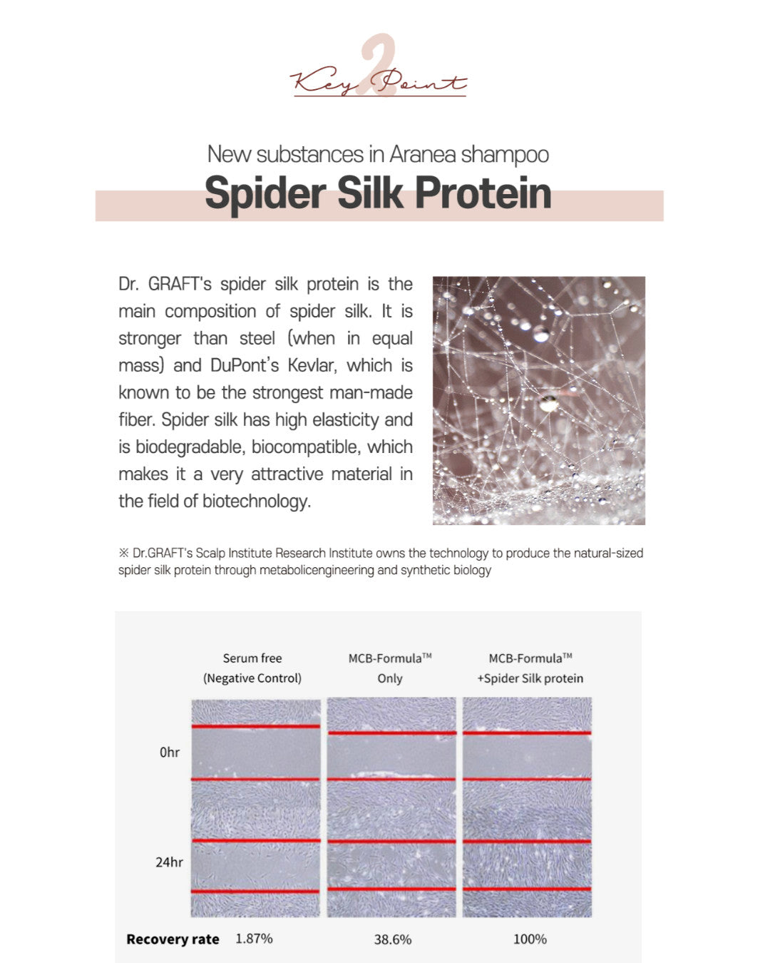 Dr. GRAFT Aranea Hair Loss Shampoo with Spider Silk Protein 500ml