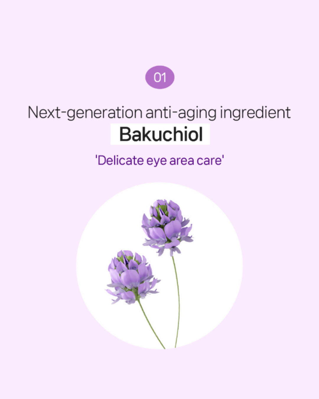 D'LEXO Bakuchiol Firming Solution Ampoule 35ml